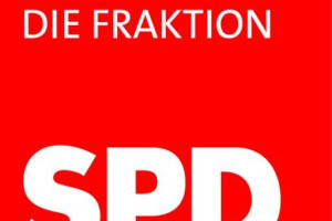 Crisis binnen de Europese sociaal-demcratie: Duitsland